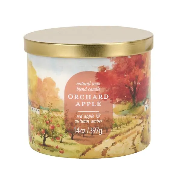 14OZ Candle Jar Orchard Apple 3 Multi